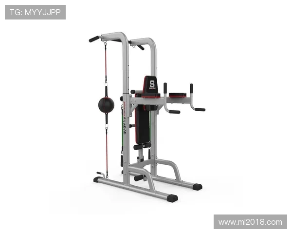 保德龙健身器材系列介绍及适用训练项目