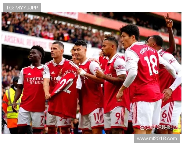 英超哪支球队在不败纪录上表现突出？