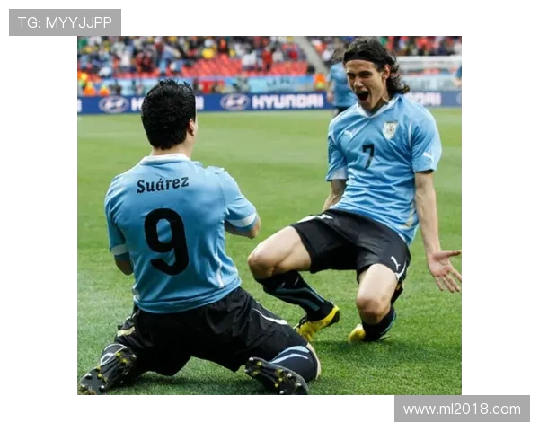 西维尔主场迎战雷加利斯争夺关键三分之战前瞻全面解析攻防看点