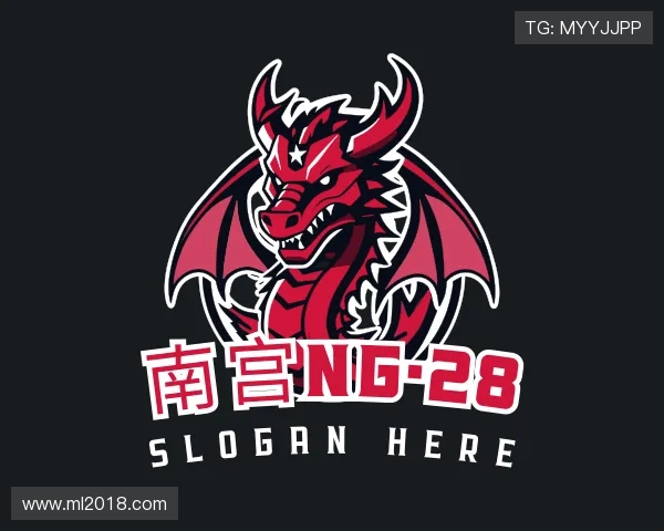 介绍ng28